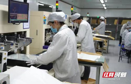電子工匠展風采，勞務品牌促發展——冷水灘區以專業勞務品牌助力就業與產業雙贏